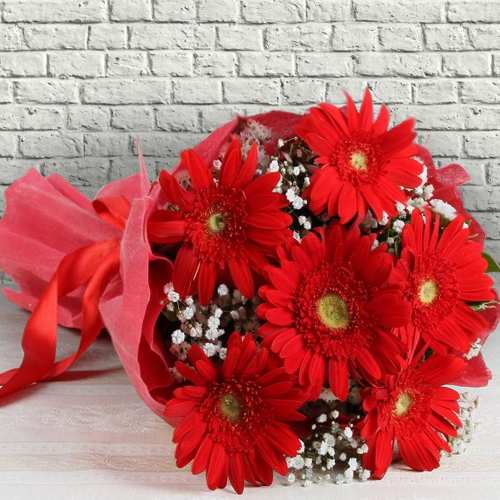 6 Red Gerbera Arrangement