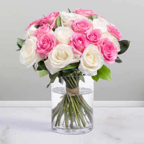 White And Pink Rose In Vase