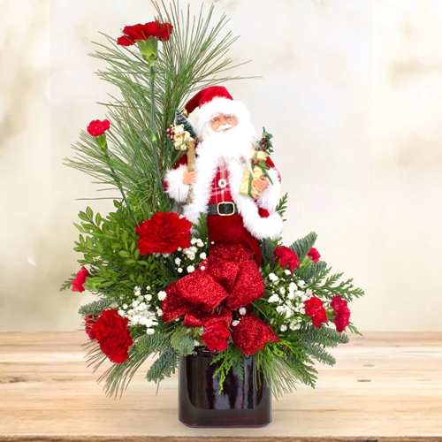 Red Carnation And Santa