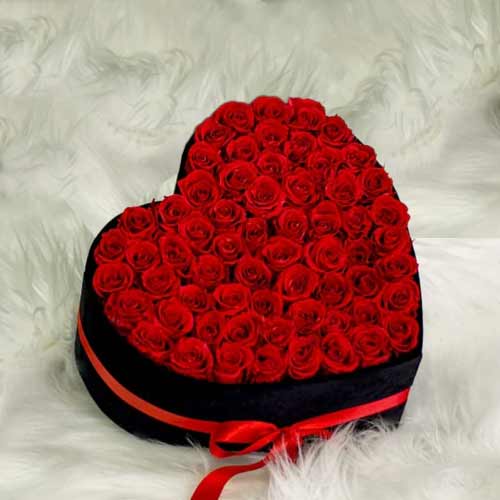 Heart N Soul